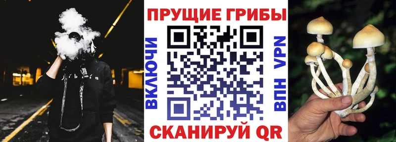 Купить закладки  Иланский  Псилоцибиновые грибы Magic Shrooms 